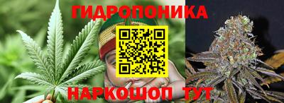 крисы Можайск