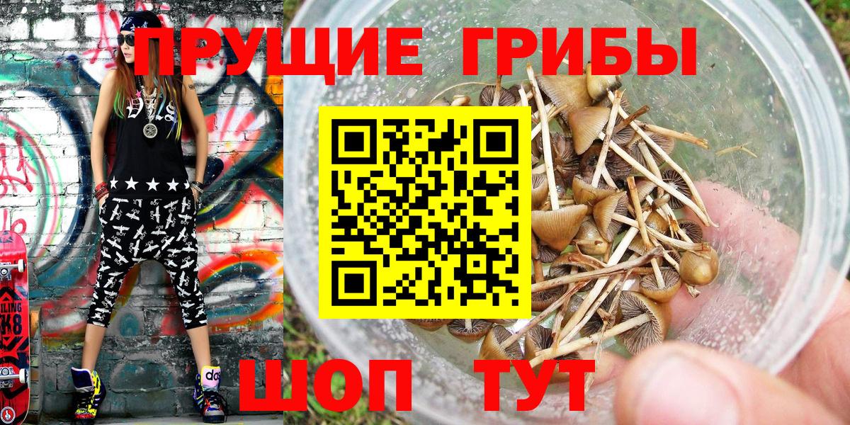 Благодарный  Псилоцибиновые грибы Cubensis  Псилоцибиновые грибы Cubensis  Вход с VPN 